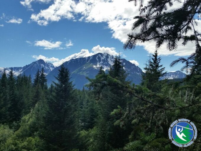 Seward: Stoney Creek Canopy Tour With Zipline - Group Size and Guides