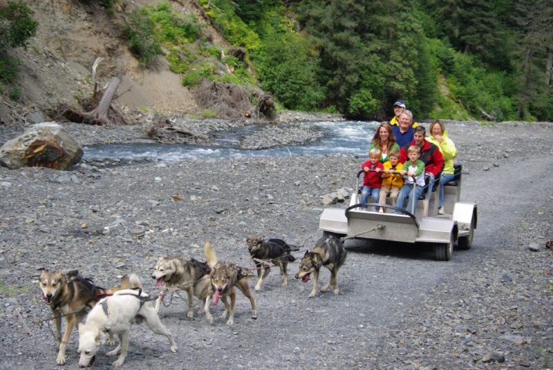 Seward: Summer Dog Sled Ride and Seavey Estate Tour - Experience Highlights