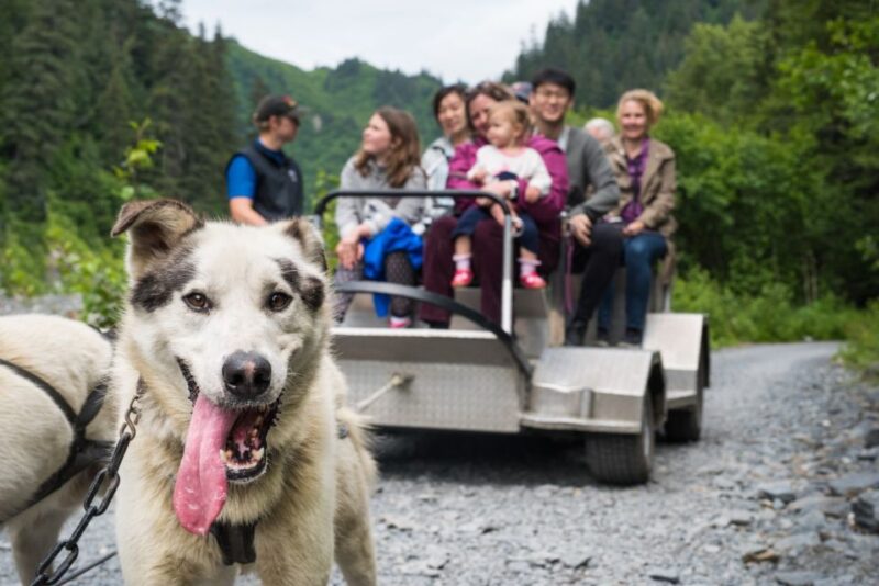 Seward: Summer Dog Sled Ride and Seavey Estate Tour - Tour Details and Logistics