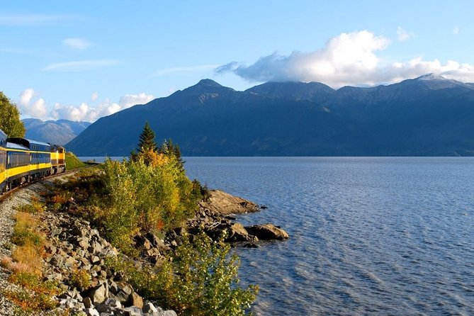 Seward to Anchorage Cruise Transfer and Private Tour - Highlights of the Cruise Transfer
