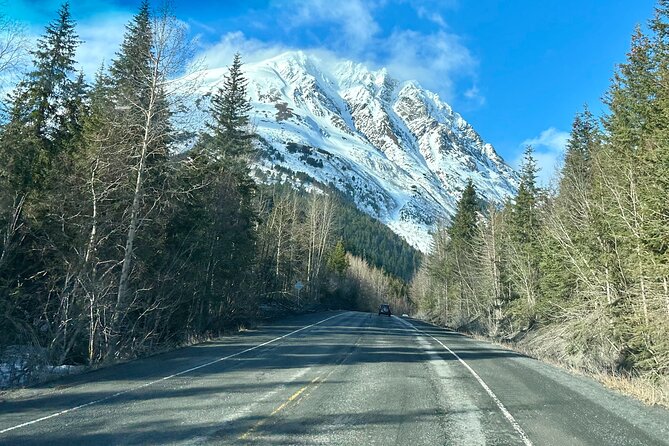 Seward to Anchorage Full Day Transit Tour With Port Pickup - Scenic Drive to Anchorage