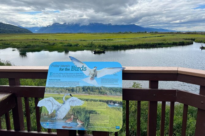 Seward to Anchorage Land Transfer Tour - Tour Guide Experiences