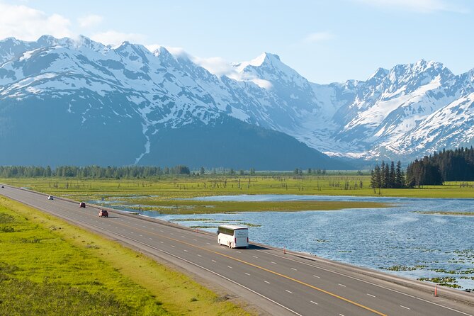 Seward to Anchorage Wildlife Adventure - Arrival in Anchorage
