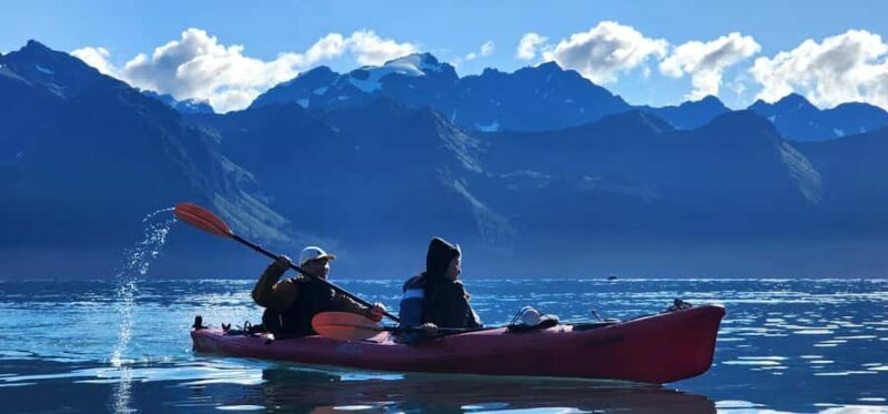 Seward: Tonsina Point Sea Kayaking Trip with Hotel Pickup - What Makes This Tour Special?