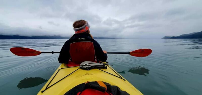 Seward: Tonsina Point Sea Kayaking Trip with Hotel Pickup - What Travelers Say