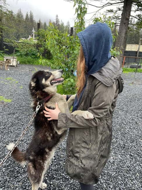Seward: Turning Heads Kennel Tour & Dog Sled Ride - What to Bring and What to Expect