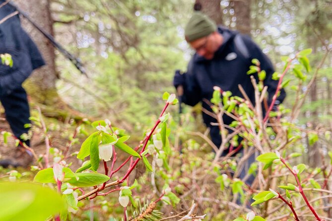 Seward Wilderness Hiking - Logistics