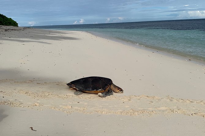 Seychelles Island Tour (Private 4 Hours or 8 Hours) - Cancellation and Refund Policy
