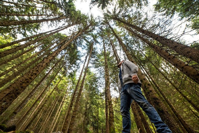 Sf: Alcatraz Ticket & Ferry Plus Guided Muir Woods Tour - Inclusions and Highlights