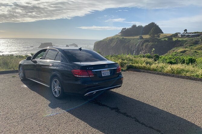 SF to Napa/Sonoma Wine Tour Transportation in Luxury Sedan - Accessibility and Participation