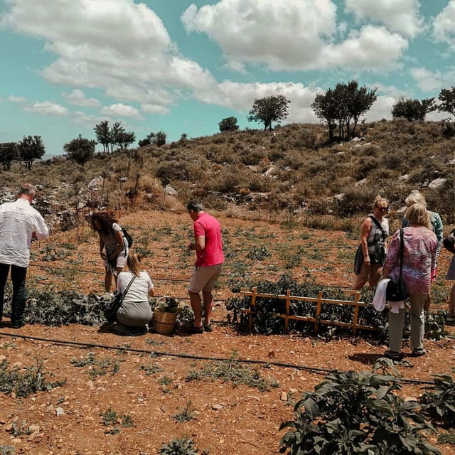 Sfendoni Cave and Shepherds Shelter … - Itinerary Highlights