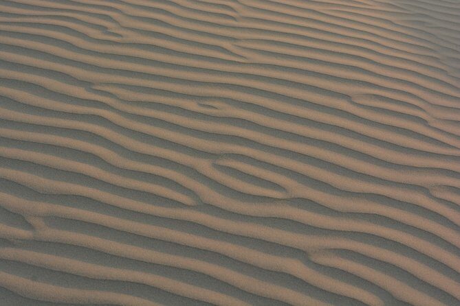Shahi Half day non touristic sand dune camel safari with dinner - Key Points