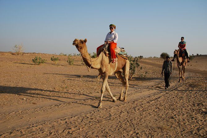 Shahi Half day non touristic sand dune camel safari with dinner - Why This Tour Works for Travelers