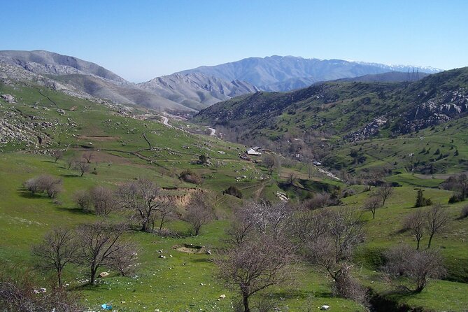 Shahrisabz Private Excursion From Samarkand. - Travel Recommendations