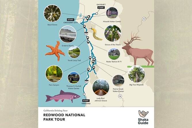 Shaka Guide: Redwood National Park Audio Tour Guide - Customizable Tour Experience