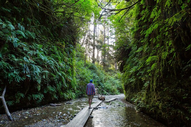 Shaka Guide: Redwood National Park Audio Tour Guide - User Feedback and Testimonials