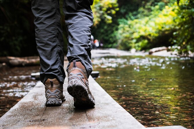 Shaka Guide: Redwood National Park Audio Tour Guide - Pricing and Cancellation Details