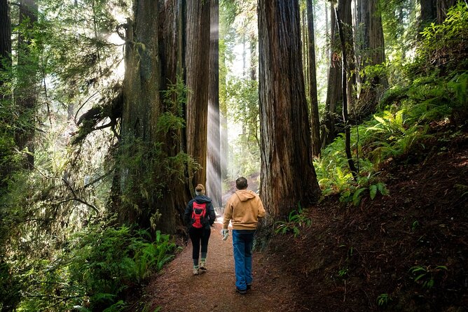 Shaka Guide: Redwood National Park Audio Tour Guide - Frequently Asked Questions