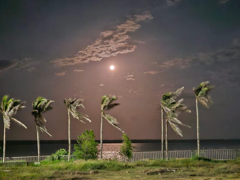 Shakira: Life and Legacy of Barranquillas Global Icon - Barranquilla Roots and Local Cuisine