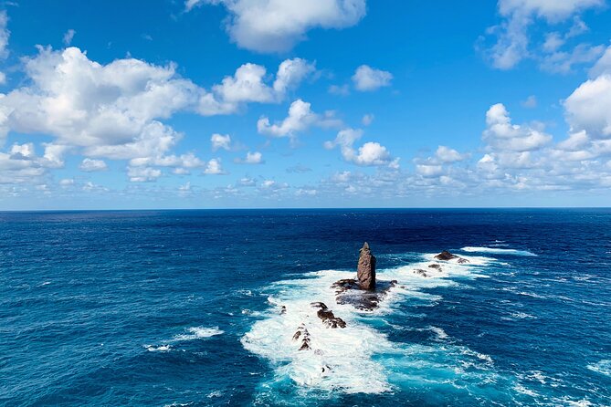Shakotan, Yoichi Nikka Whisky, Otaru With Fruits Picking Day Trip - Itinerary and Activities