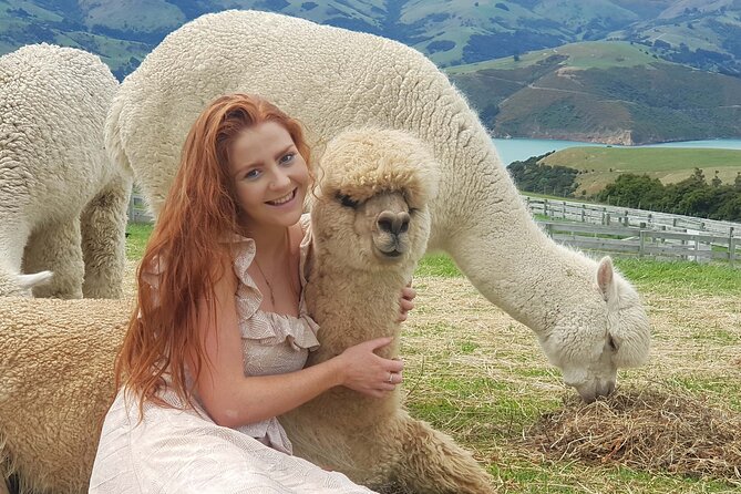 Shamarra Alpaca Farm Tours - Accessibility and Transportation