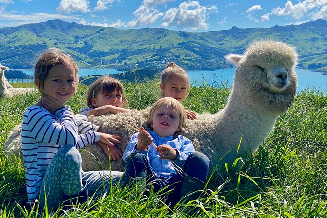 Shamarra Alpaca Farm Tours - Customer Feedback and Ratings