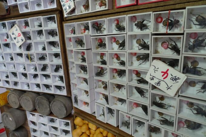 Shanghai: 3-Hour Old Shanghai City Tour - Experiencing Xintiandis Trendy Transformation