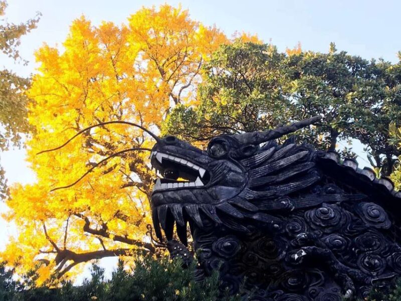 Shanghai: 8-Hour Private City Tour - Customer Reviews and Ratings