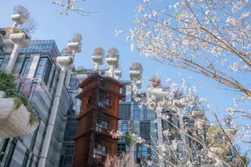 Shanghai: 8-Hr Private Guided Tour Incl Homemade/Local Lunch - Unique Attractions