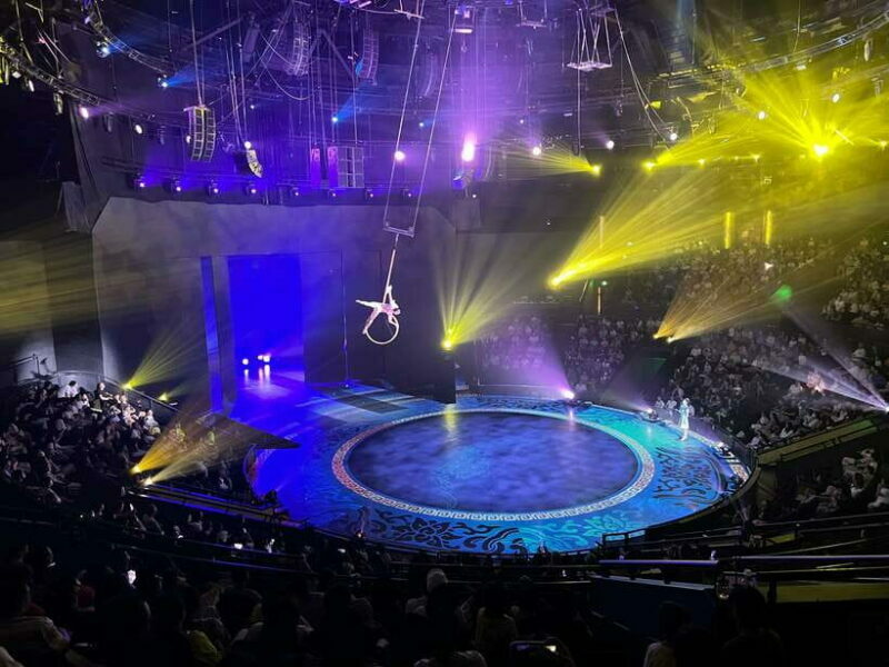 Shanghai: Circus World ERA Theatre Acrobatics Ticket - Why This Show Is Worth Considering