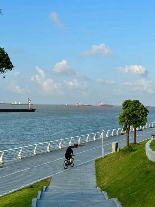 Shanghai Half-Day Bike Tour along East Bank of Huangpu River - The Value of This Experience