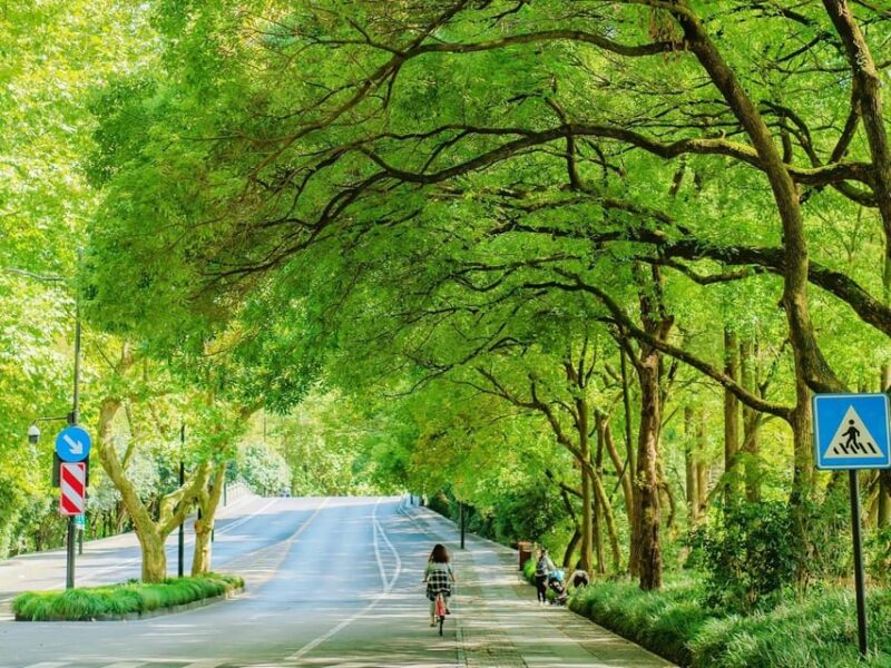 Shanghai: Hangzhou City Advanture & West Lake Bicycle Tour - Pickup Location and Travel