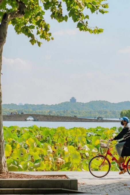 Shanghai: Hangzhou City Advanture & West Lake Bicycle Tour - Frequently Asked Questions
