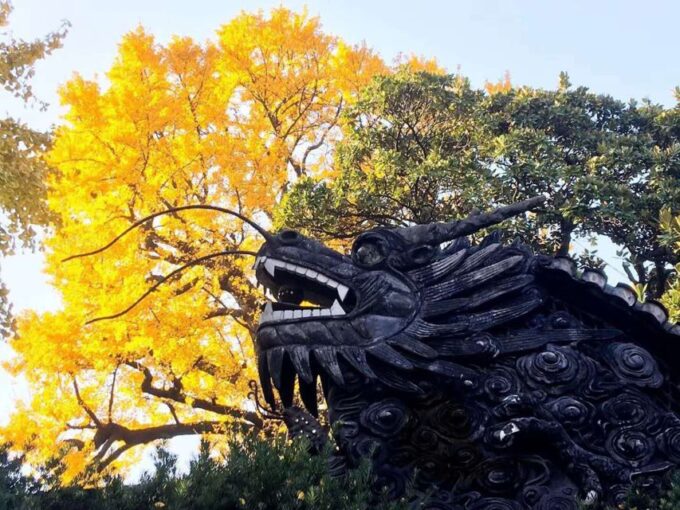Shanghai Highlights and Zhujiajiao Water Town Private Tour - Tour Duration