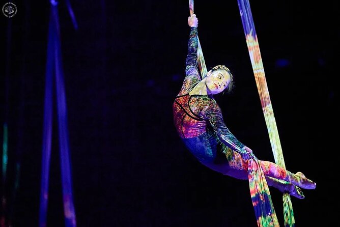 Shanghai Must-See Acrobatics Show With Private Transfer - Itinerary and Experience