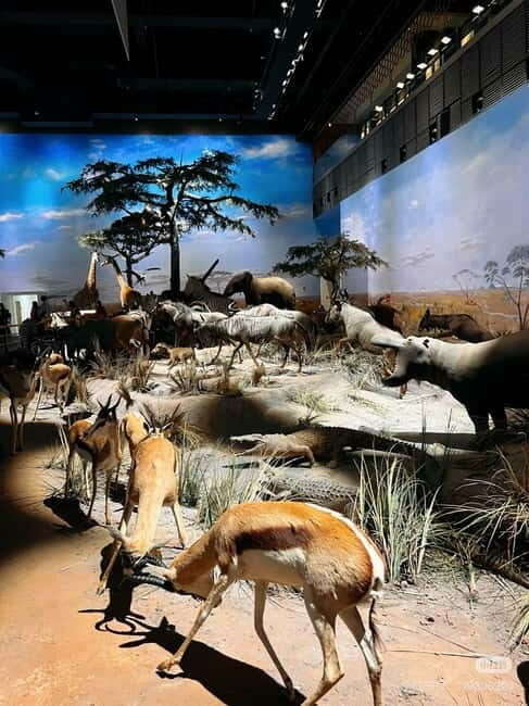 Shanghai: Natural History Museum Tickets Purchase service - Educational Activities and Family-Friendly Features