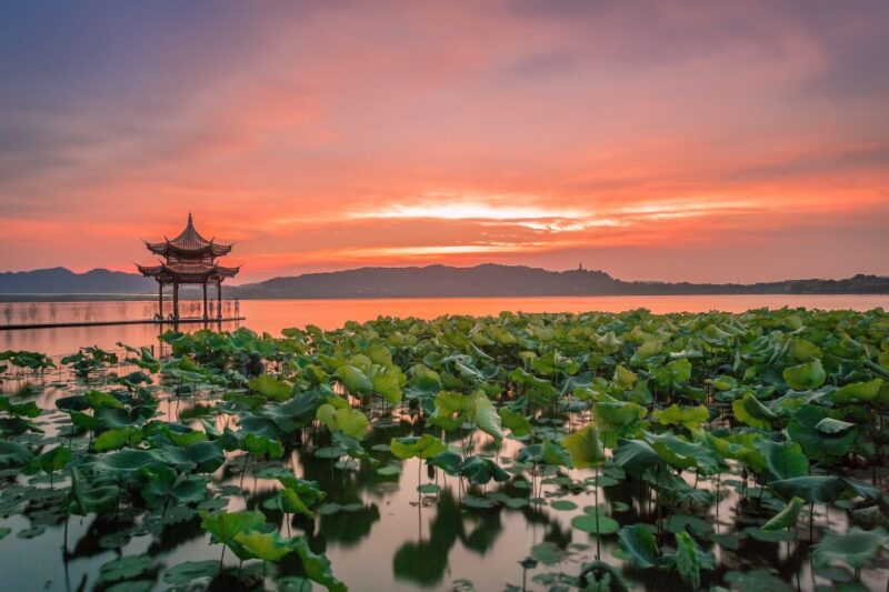 Shanghai: Private Guided Tour to Hangzhou by Bullet Train - Key Points