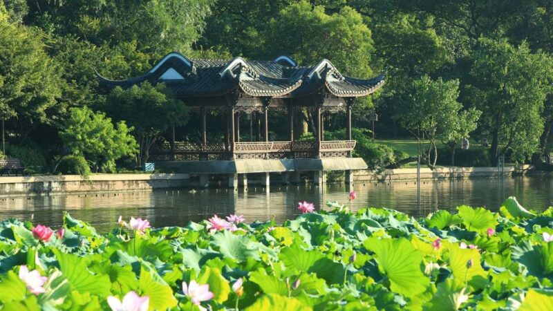 Shanghai: Private Guided Tour to Hangzhou by Bullet Train - Pricing and Inclusions