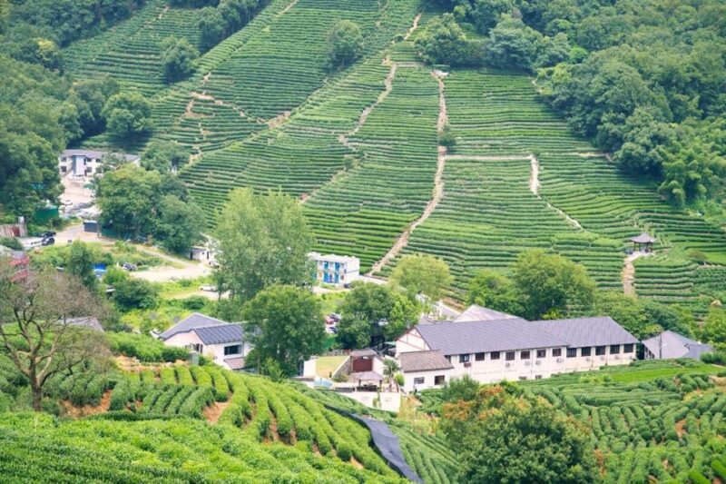 Shanghai: Private Guided Tour to Hangzhou by Bullet Train - Customizable Itinerary