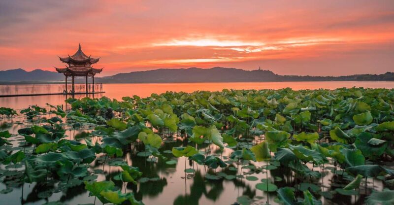 Shanghai: Private Guided Tour to Hangzhou by Bullet Train - Guide Expertise