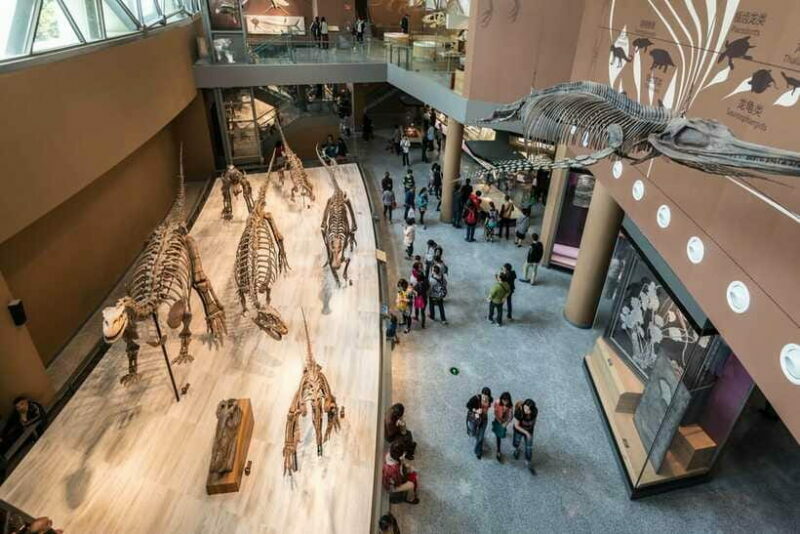Shanghai: Private Tour of the Shanghai Museum - FAQ