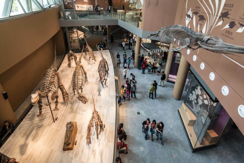 Shanghai: Private Tour of the Shanghai Museum - Tour Overview