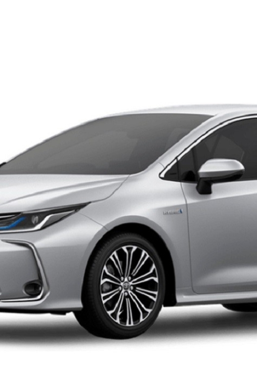 Shanghai Pudong Airport (PVG): Private Airport Transfer - Vehicle Information