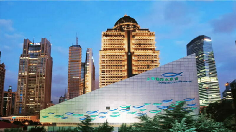 Shanghai: The Marine Wonders at Shanghai Ocean Aquarium - A Deep Dive Into the Experience