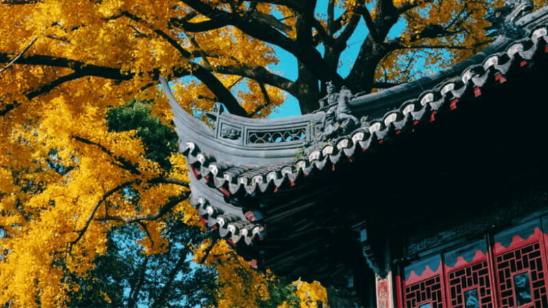 Shanghai: Yu Garden Admission Ticket - FAQ: Everything You Might Want to Know