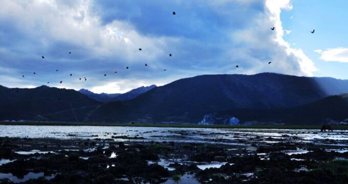 Shangri-La Area Private Day Tour - Booking Information