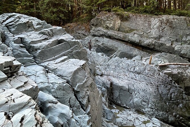 Shannon & Mamquam Falls, Quercus Point and Squamish - Tour Information and Highlights