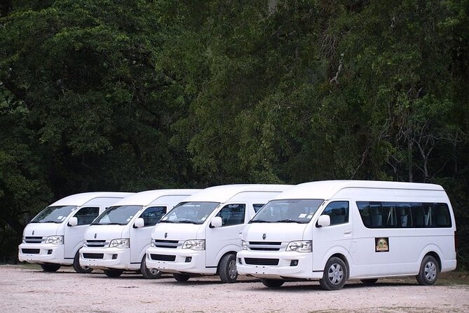 Share Shuttle From San Ignacio to Flores (Guatemala) - Key Points