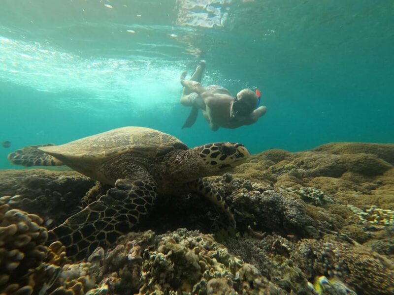 Share Snorkeling to 3 Gilis - Lunch and Additional Information
