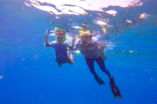 Shared 2 Hours Sosúa Bay Snorkeling With Professional Guide - Activity Location